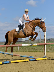 horse jumping