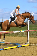 horse jumping