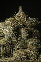 Hay, on dark background
