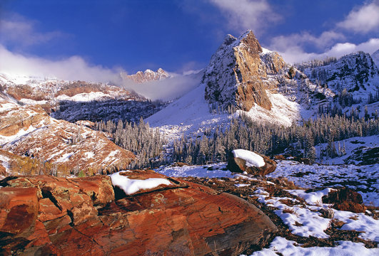 Winter in Cottonwood Canyon in the mountains of the Wasatch Range. Pine forests in snow with low cloud. The Twin Peaks wilderness area. 