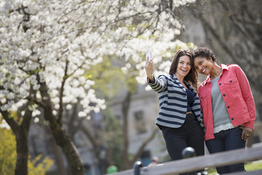 People outdoors in the city in spring time. New York City park. A young woman holding out a phone to take a photograph of herself and a companion.