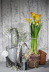 Beautiful spring flowers on old wooden background