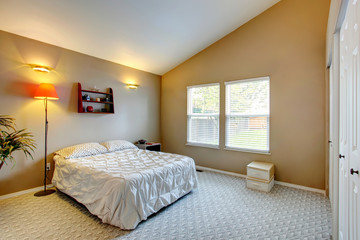 Bedroom interior with vaulted ceiling