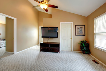 Vaulted ceiling empty room with TV