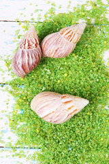 Sea salt crystals with sea shells on color wooden background