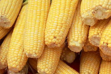Fototapeta na wymiar Sweet corn in the market