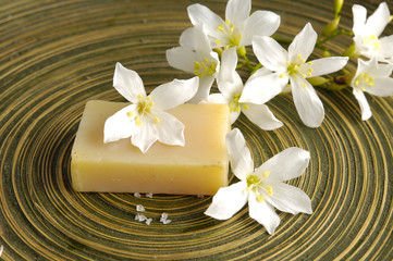 Fototapeta na wymiar White frangipani and soap in wooden bowl