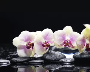 Schilderijen op glas orchid on wet pebble © Mee Ting