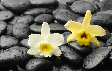 Dekokissen black stones and pink orchid © Mee Ting