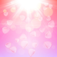 Pink rose petals background