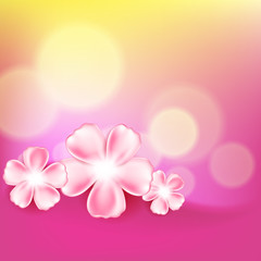 Fototapeta na wymiar Beautiful pink flower background