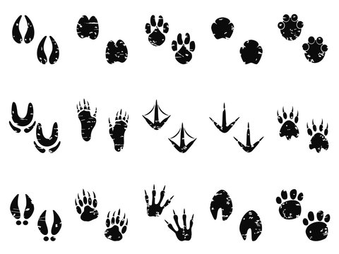grungy Animal Footprint Track icon