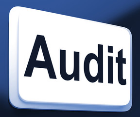 Audit Button Shows Auditor Validation Or Inspection