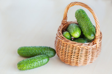 fresh cucumbers  in a basket on the wooden background