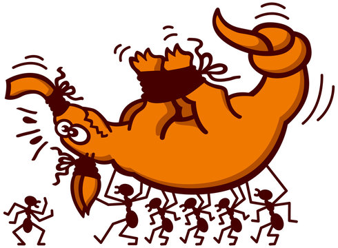 Aardvark in trouble being carried by ants