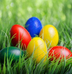 Easter eggs on green grass