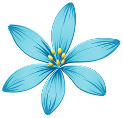 A blue flower