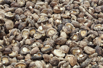 Dried Shiitake Mushrooms