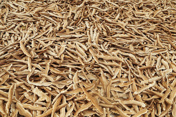 Dried Lingzhi mushroom