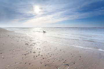 sunny sand beach in North sea