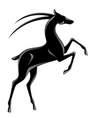 Fototapeta na wymiar Black antelope