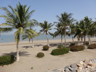 Obraz na płótnie Canvas Beach and Corniche of Al Qurm (Al Qurum) - Muscat - Oman