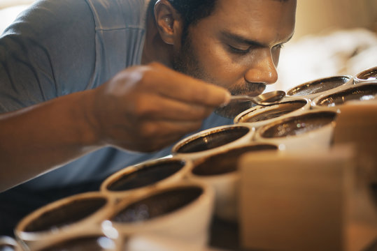 The sampling procedure in a coffee processing shed, where staff make coffee in small pots and sample the taste to test the blend. 