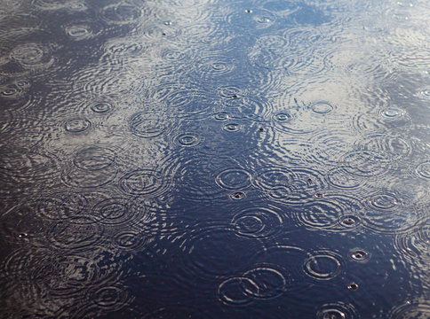 Rain drops and ripples on a pool of water.