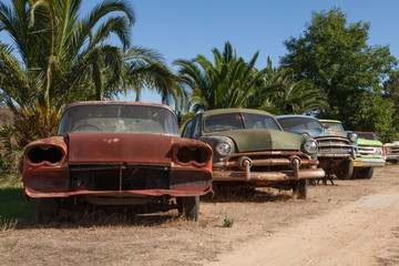 Schrottplatz - abgestellte Autos