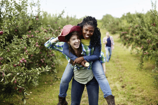 Rows of fruit trees in an organic orchard. A young woman giving another a piggyback.