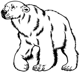 polar bear black white