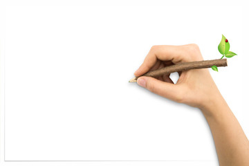 Hand with tree trunk pencil drawing and white sheet