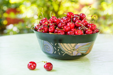 Fresh ripe organic red cherries in summer garden