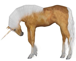 Palomino Unicorn - Head Down © Algol