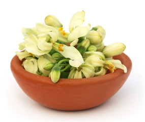 Edible moringa flower on a brown bowl