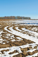 Cloudless day in early spring