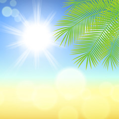 Sunny background with palm leaves.