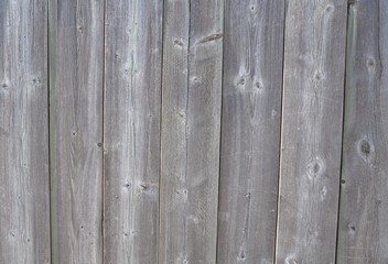 Wood background design