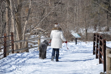 Fototapeta na wymiar Woman and her dog walking during winter