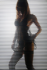 Frau in Dessous hinter Jalousie