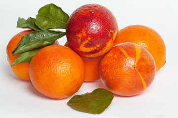 Oranges sanguines d'Espagne en tas sur fond blanc