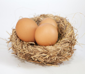 nid d'oeufs de pâques