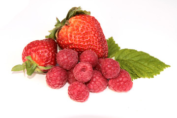fruits rouges