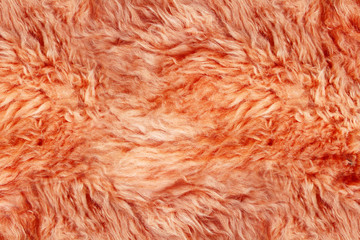 Fototapeta premium Close up of wool texture background
