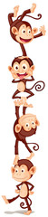 Four playful monkeys