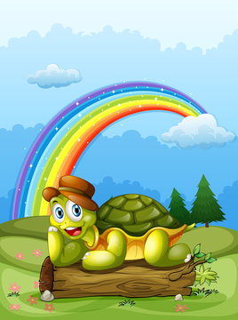 A happy turtle above the log and the rainbow in the sky