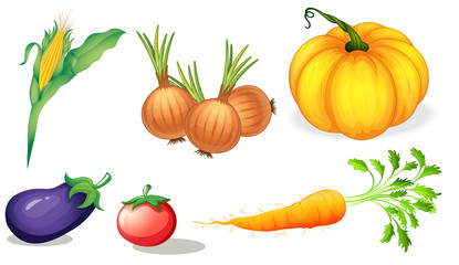 Healthy vegetables and spices