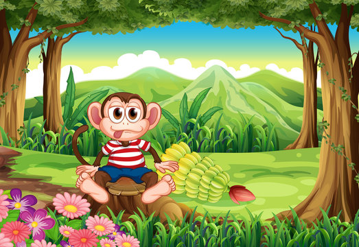 A forest with a monkey above the stump