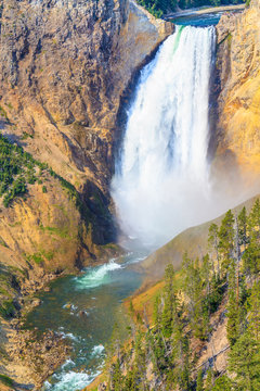 Lower Falls of the Grand Canyon of the Yellowstone National Park
