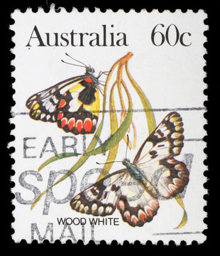 Stamp printed in Australia shows a Wood white butterfly